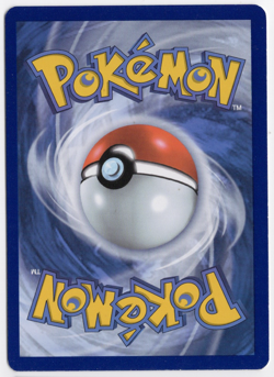 Morpeko SWSH031 Promo Holo Pokemon Card - Image 2