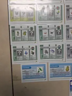 Pokemon Battle E-Cards For GBA E-Reader Gameboy Advance 2003 -37 Card Lot RARE - Image 4