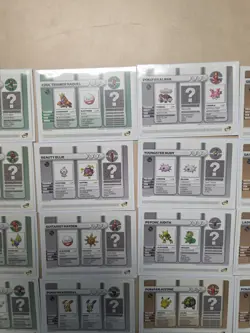 Pokemon Battle E-Cards For GBA E-Reader Gameboy Advance 2003 -37 Card Lot RARE - Image 5