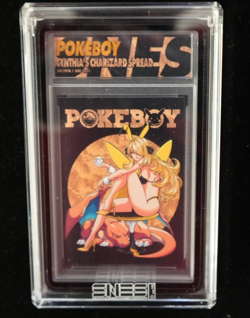 2025 PokeBoy Cynthia’s Charizard Spread SNES Custom Pokemon Charizard Art Card - Image 1