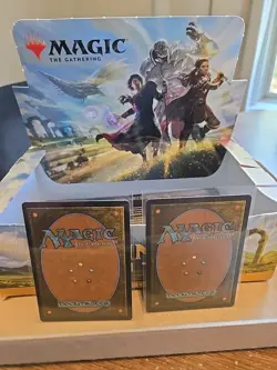 2x Mountain (Showcase) 280/281 Dominaria United Magic The Gathering MTG Land - Image 4