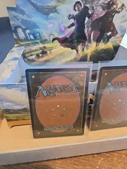 2x Mountain (Showcase) 280/281 Dominaria United Magic The Gathering MTG Land - Image 5