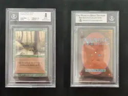 Singing Tree ARABIAN NIGHTS Mtg NEAR MINT Graded BGS 8 BASIC+++ (9/8.5/7.5/9) - Image 1