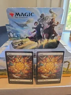 2x Plains Basic Land 277/281 Non Foil Full Art Dominaria United MAGIC MTG - Image 1