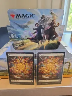 2x Plains Basic Land 277/281 Non Foil Full Art Dominaria United MAGIC MTG - Image 2