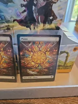 2x Plains Basic Land 277/281 Non Foil Full Art Dominaria United MAGIC MTG - Image 4