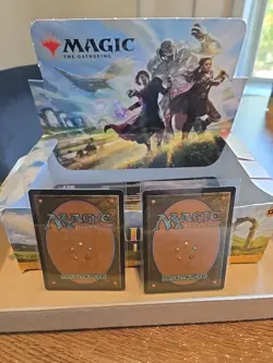 2x Plains Basic Land 277/281 Non Foil Full Art Dominaria United MAGIC MTG - Image 5