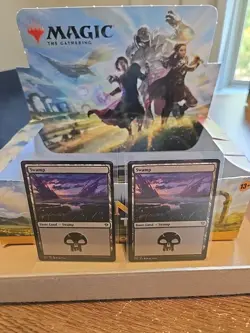 X2 Swamp Regular Basic Land Magic MTG Dominaria United (269/281) M/NM - Image 1