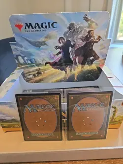 X2 Swamp Regular Basic Land Magic MTG Dominaria United (269/281) M/NM - Image 3