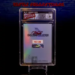 Yoruichi Waifu Card Serial #15/25 LIMITED RELEASE Encased Custom Holo SLAB Bleac - Image 3