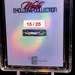 Yoruichi Waifu Card Serial #15/25 LIMITED RELEASE Encased Custom Holo SLAB Bleac - Image 4