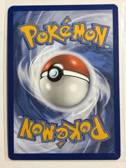 Squirtle 148/142 - Stellar Crown Illustration Rare Holo Pokemon Card NM - Image 2