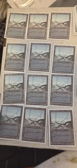 MTG Revised Italian ITA FWB Foreign White Border Basic Land Swamp 1 Low Branch - Image 1