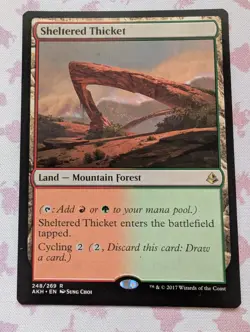 MTG Sheltered Thicket Amonkhet 248/269 Rare - Image 1