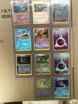 Ruby And Sapphire Pokemon Card Holo Lot Of 11 - Image 1