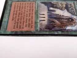 MTG Magic the Gathering Beta Sylvan Library Card MP 36513-13 - Image 5