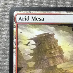 Arid Mesa - Modern Horizons 2 (MH2) #244 NM MTG Non-Foil Fetch Land - Image 2