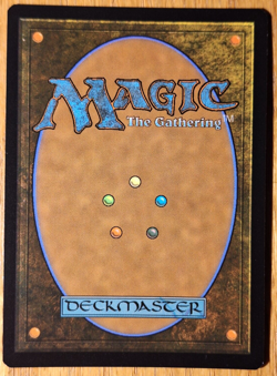 Frodo Baggins SHOWCASE SURGE FOIL Lord of the Rings 812 NM - MTG - Image 2