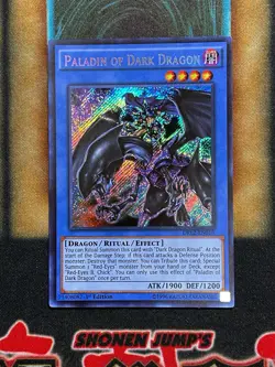 Yugioh Paladin Of Dark Dragon DRL2-EN018 Secret Rare 1st Ed NM - Image 1