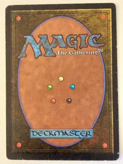 Magic the Gathering MTG Arabian Nights Giant Tortoise Dark MP (Beta Bob) - Image 2