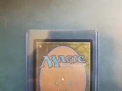 MTG Maddening Cacophony - Zendikar Rising NM - Image 4