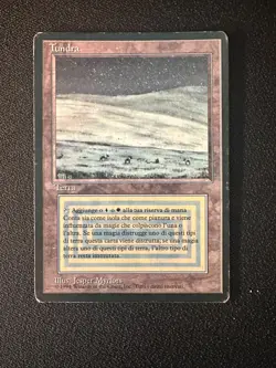 Tundra (HP) FBB Italian Revised 1994 MTG - Image 1