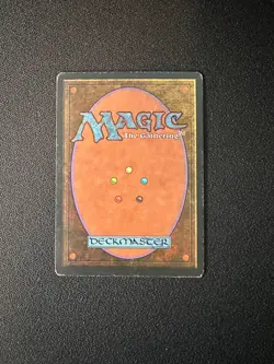 Tundra (HP) FBB Italian Revised 1994 MTG - Image 2