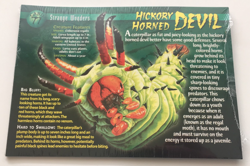 Weird N' Wild Creatures: Strange Wonders - Cards Pack of 10 (New) - Image 1