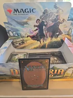 Island Basic Land (265/281) MTG Dominaria United NM Magic Regular - Image 2