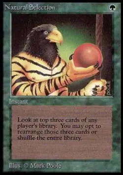 MTG English Natural Selection Medium Play Normal Alpha - Image 1
