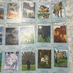 Bella Sara NORTHERN LIGHTS COMMONS Set of 26 cards Most Excellent Condition - Image 2