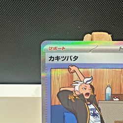 Drayton SAR 229/187 SV8a Terastal Festival ex Pokemon Japanese - NEAR MINT - Image 2
