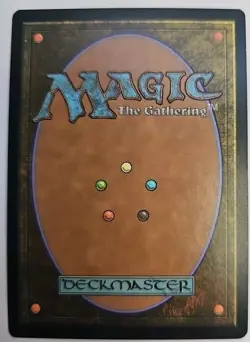 MTG Magic The Gathering Card Evolving Wilds Land M13 - Image 2