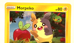 Pokemon Morpeko Black Star Promo - Image 2
