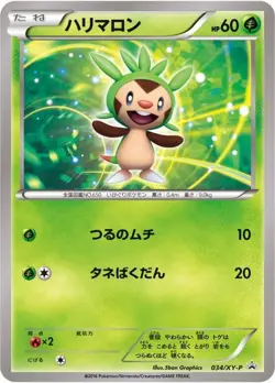 Pokemon Card Chespin P 034/XY-P promo Promo Japanese - Image 1