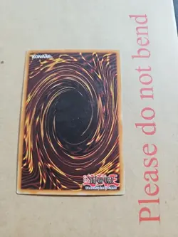 Earthbound Spirit Dark Beginning 1 DB1-EN249 Common Yu Gi Oh TCG - Image 3