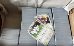 Pokemon Paradox Rift, Non-Holo Bulk 1500+ Cards, Over 6lbs, Free Shipping - Image 1