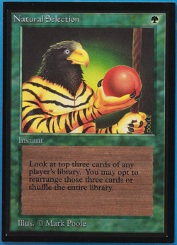 Natural Selection Collectors' Edition - International NM CARD (501678) ABUGames - Image 1