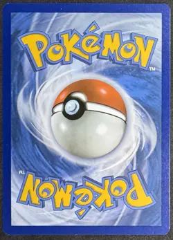 Greninja Star SWSH144 (Black Star Promo) Sword & Shield LP - Image 2