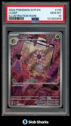 2024 POKEMON SV STELLAR CROWN - SCR EN #145/142 LILEEP ILLUSTRATION RARE PSA 10 - Image 1