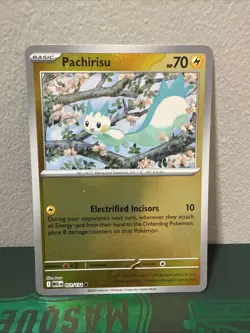 Pachirisu 051 2025 Pokemon Mega Evolution Reverse Holo Card NM+ - Image 1