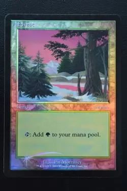 Magic The Gathering MTG FOREST FOIL Arena League Promo Ice Age LP Played - Image 1