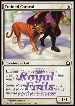 Trained Caracal 4x FOIL RTR MTG Return to Ravnica Common MINT white - Image 1