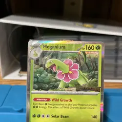 Meganium 001 - Mega Evolution Prerelease Stamped Promo Holo Pokemon Mint SEALED! - Image 3