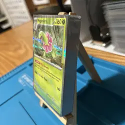 Meganium 001 - Mega Evolution Prerelease Stamped Promo Holo Pokemon Mint SEALED! - Image 5