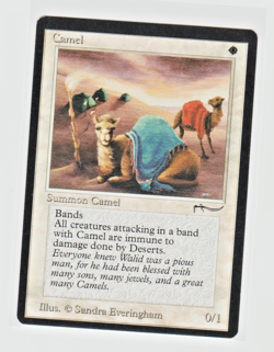 Magic the Gathering ~ MTG ~ 1x Camel ~ M/NM ~ Arabian Nights - Image 1