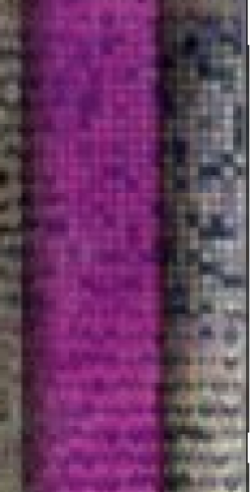 2025 YU-GI-OH! 1ST EDITION #RA04-EN120 ROYAL OPPRESSION QUARTER CEN. SECRET RARE - Image 4