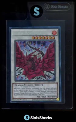 2025 YU-GI-OH! 1ST EDITION #RA04-EN057 BLACK ROSE DRAGON COLLECTOR'S RARE - Image 1