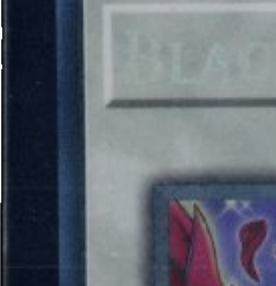 2025 YU-GI-OH! 1ST EDITION #RA04-EN057 BLACK ROSE DRAGON COLLECTOR'S RARE - Image 3