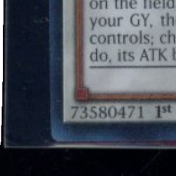 2025 YU-GI-OH! 1ST EDITION #RA04-EN057 BLACK ROSE DRAGON COLLECTOR'S RARE - Image 5